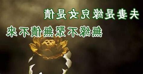 無緣不聚 無債不來